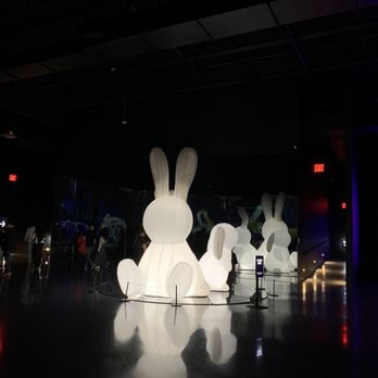 Arte Museum - Art Museums Near Me - New York, New York