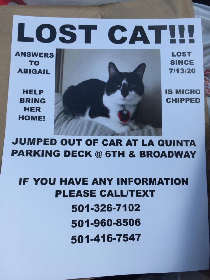 CARE FOR ANIMALS 5516 Kavanaugh Blvd, Little Rock, Arkansas Animal