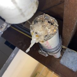 Safeway Sewers - Kitchen sink line full of grease