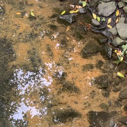 Klein & Company Plumbing