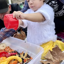 Happy Baby Social Nest
