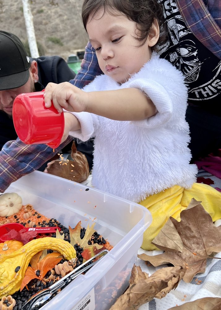 Happy Baby Social Nest Logo
