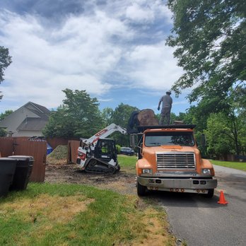 Triad Tree Removal - Tree Services Near Me - Greensboro, North Carolina Triad Tree Removal - Tree Services Near Me - Greensboro, North Carolina