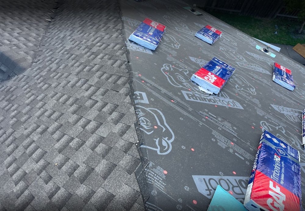 Slide of Art of the Roof