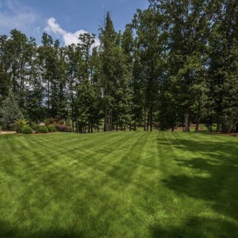 Lawn Doctor - a view of a large lawn with trees in the background - Landscaping Near Me - Alpharetta, Georgia