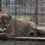 Photo of Summerfield Zoo