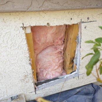 The Beekeeper Total Bee Control - After hive was removed and area cleaned. - Pest Control Near Me