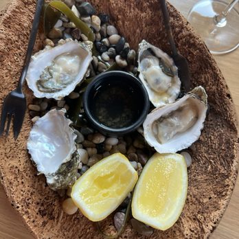 Bear at Stanly Ranch - Oysters were so yummy I forgot to take the pic before I ate one! - New American Near Me - Napa, California Bear at Stanly Ranch - Oysters were so yummy I forgot to take the pic before I ate one! - New American Near Me - Napa, California