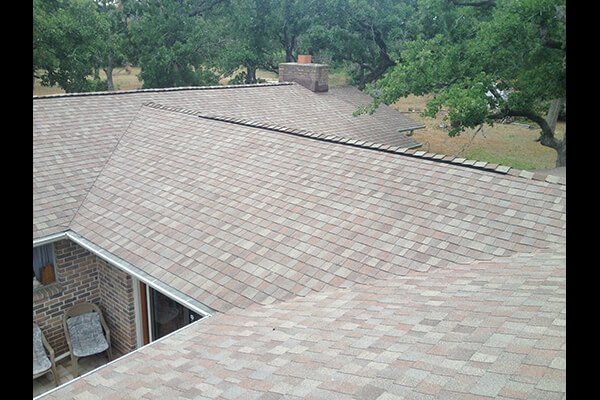 Slide of Roofer Chicks