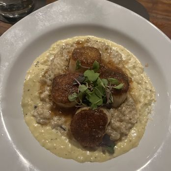 Common Restaurant  - Scallops (Entree portion) - Cocktail Bars Near Me - Savannah, Georgia