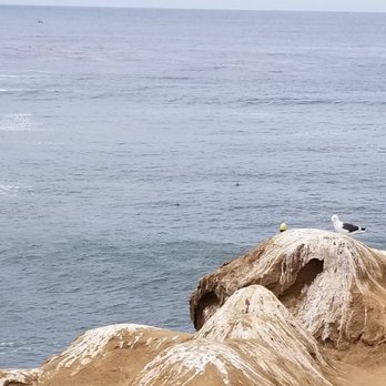 La Jolla Cove - Alone... - Parks Near Me - La Jolla, California La Jolla Cove - Alone... - Parks Near Me - La Jolla, California