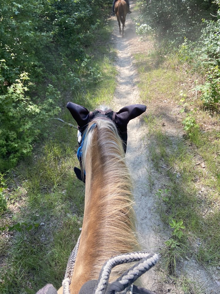 FOURTH ROCK STABLES 699 McNeill Lake Rd, Lumber Bridge, North