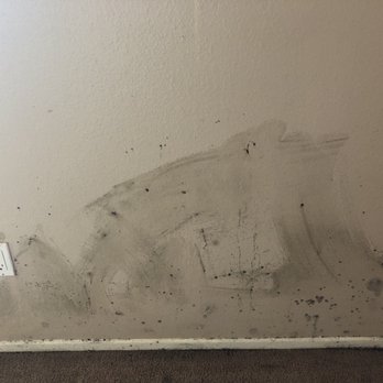 Maple Hill Apartments - Mold where the dresser was placed - Apartments Near Me - Fontana, California