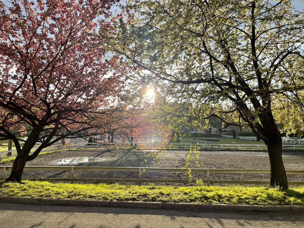 RIVERDALE STABLES Updated September 2024 10 Photos & 16 Reviews