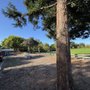 Stanford Hills Park