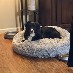 Hound House 901
