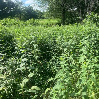 Winnemac Park - Natural Area - Parks Near Me - Chicago, Illinois