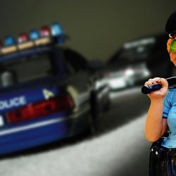 Busted Traffic Survival School - Glendale TSS