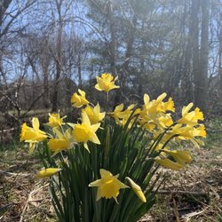 Veterans Park - Happy spring!