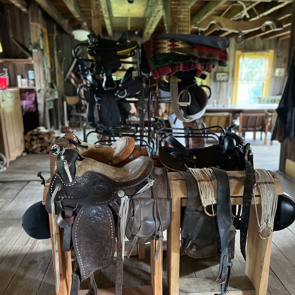 Mountain Rose Farm - Saddles, beautiful old leather - Horseback Riding Near Me - Savona, New York Mountain Rose Farm - Saddles, beautiful old leather - Horseback Riding Near Me - Savona, New York