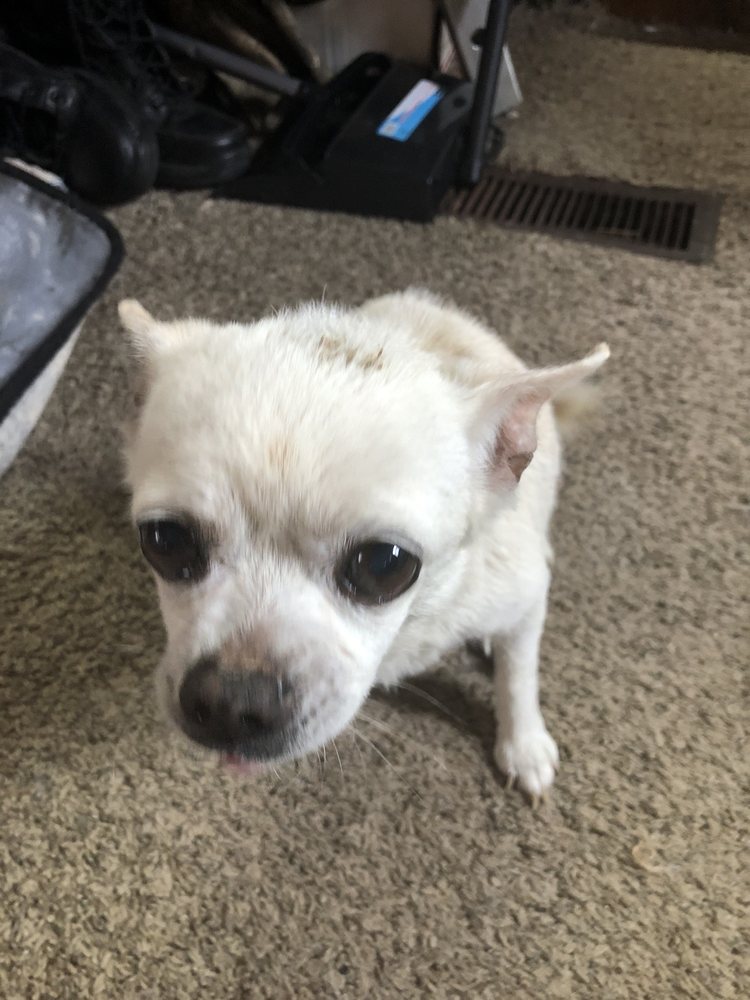 PET EMPORIUM Updated August 2024 11 Photos 9537 Bridgeville