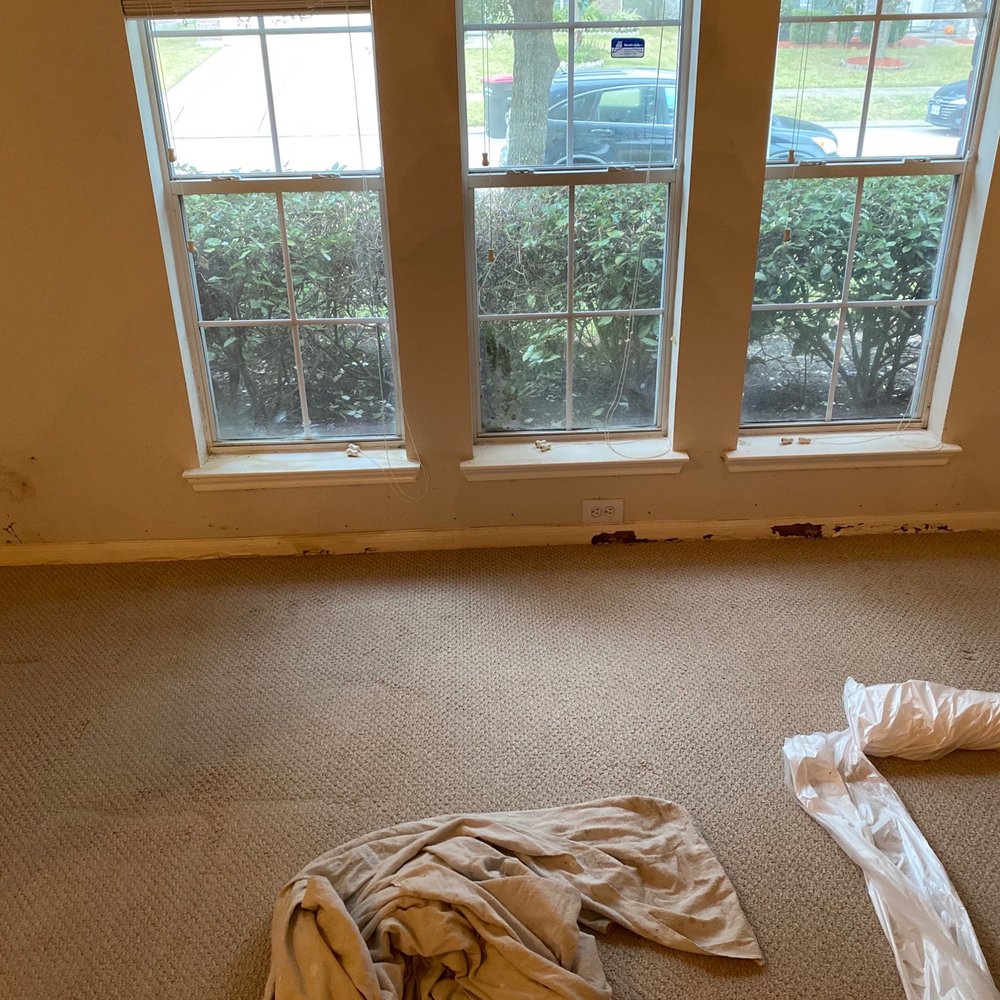 Scott's Sheetrock Services - Termite damage. - Drywall Installation & Repair Near Me - Fulshear , Texas