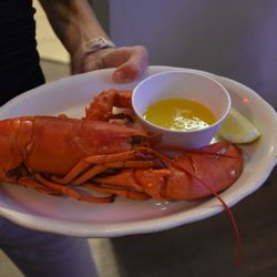 Portside Pub & Grille - Maine Lobster Dinner Special