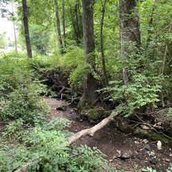 Maryville Hiking Trail