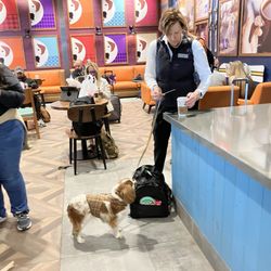 Hugo Coffee Roasters - Bring Your Pets