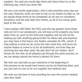 Rescued Treasures Cat Cafe - Email - Pet Adoption Near Me - Las Vegas, Nevada Rescued Treasures Cat Cafe - Email - Pet Adoption Near Me - Las Vegas, Nevada