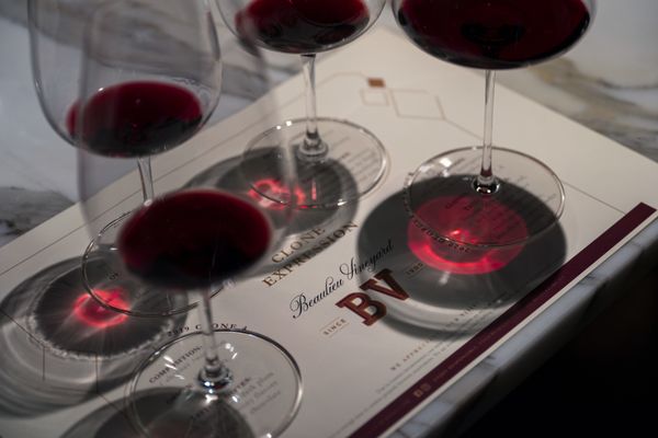 Beaulieu Vineyard by null