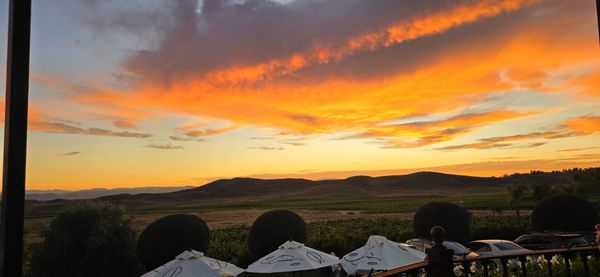 Doffo Winery by null