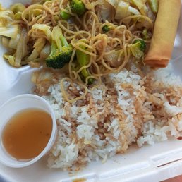 Vegan Yakisoba Noodles & Rice! + Veggie Spring Rolls! Vegan Yakisoba Noodles & Rice! + Veggie Spring Rolls!