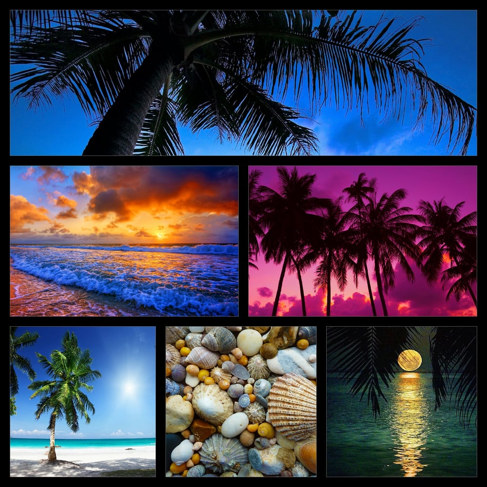 Badgerdog Properties - property management company in Pelham, AL