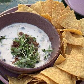 Lost Palm - Chips and queso - Bars Near Me - Lexington, Kentucky Lost Palm - Chips and queso - Bars Near Me - Lexington, Kentucky