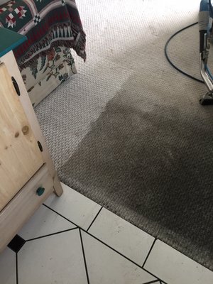 Rug Cleaning - You can also Call our office at 626-287-7733 to speak with a live person.
We offer expert Area rug cleaning services in your home or we offer pick up and delivery. We also offer cash and carry where you bring the rug to us and save money! If you have had pet accidents and it has soaked though we can also clean the back for a more thorough cleaning. Rug Cleaning - You can also Call our office at 626-287-7733 to speak with a live person.
We offer expert Area rug cleaning services in your home or we offer pick up and delivery. We also offer cash and carry where you bring the rug to us and save money! If you have had pet accidents and it has soaked though we can also clean the back for a more thorough cleaning.