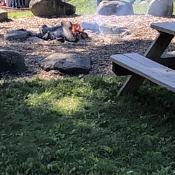 Baker Orchard - Hot dogs or marshmallows anyone?
