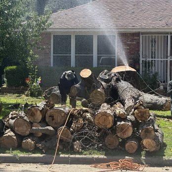 Az Tree Services - Tree Services Near Me - Dallas, Texas