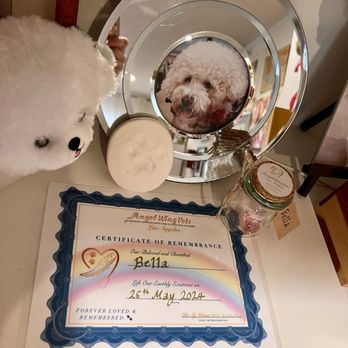 Angel Wings Vets - Clay paw print, fur clipping in a pretty jar, & certificate of remembrance were included with her service - Veterinarians Near Me Angel Wings Vets - Clay paw print, fur clipping in a pretty jar, & certificate of remembrance were included with her service - Veterinarians Near Me