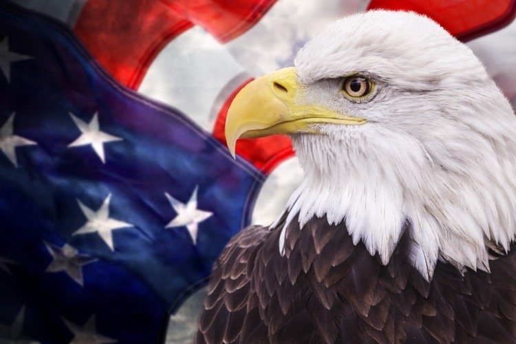 Slide of Cypress Roof Repairs