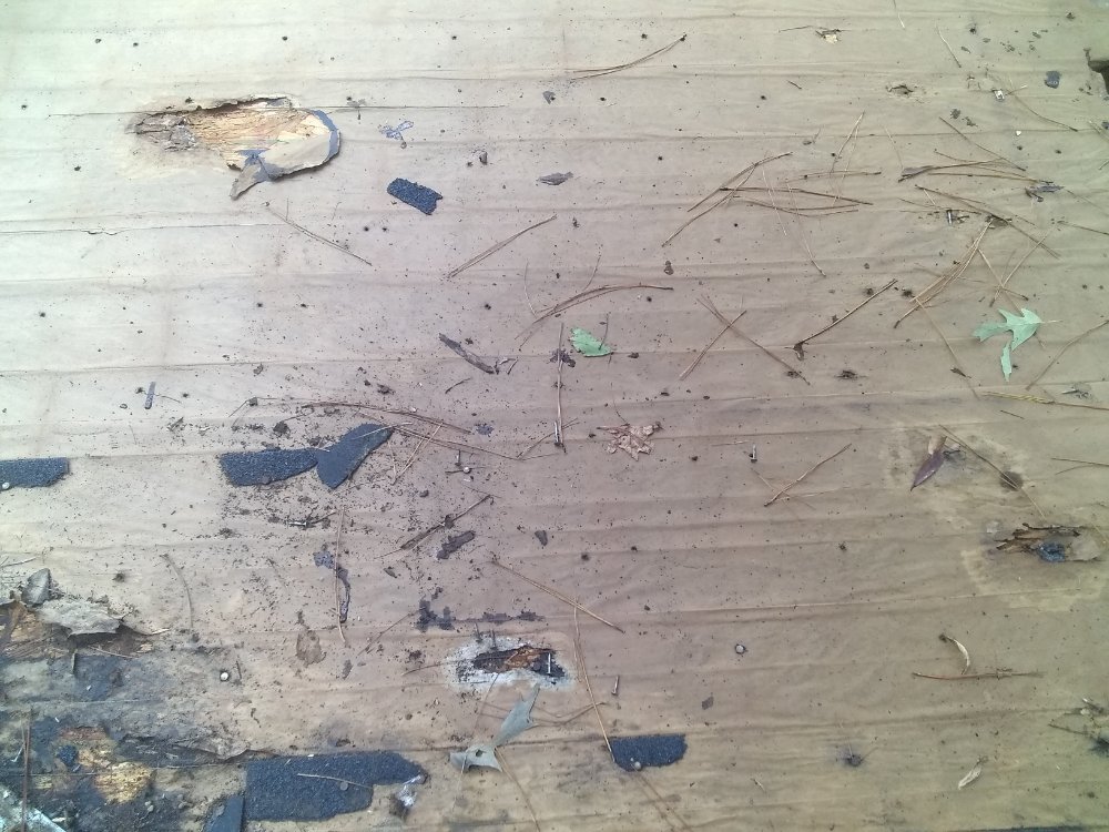 Slide of MV Roofing And Tree Services