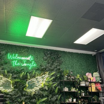 Beastea - Coffee & Tea Near Me - Santa Clara, California Beastea - Coffee & Tea Near Me - Santa Clara, California