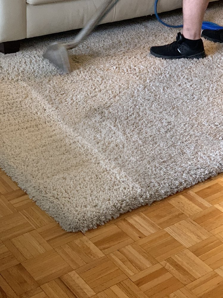 SQUEAKY CLEAN CARPET & UPHOLSTERY CLEANING Updated September 2024