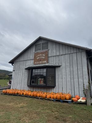 Stribling Orchard by null