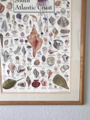 Sonny's Waterfront Restaurant by null