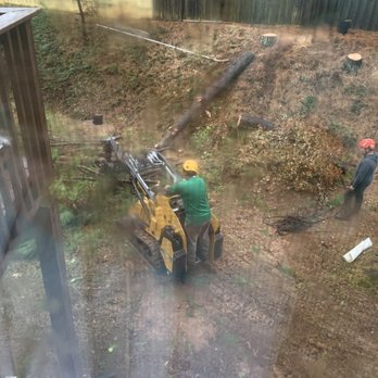 Dyland Tree Work - a man working on a tree - Tree Services Near Me Dyland Tree Work - a man working on a tree - Tree Services Near Me