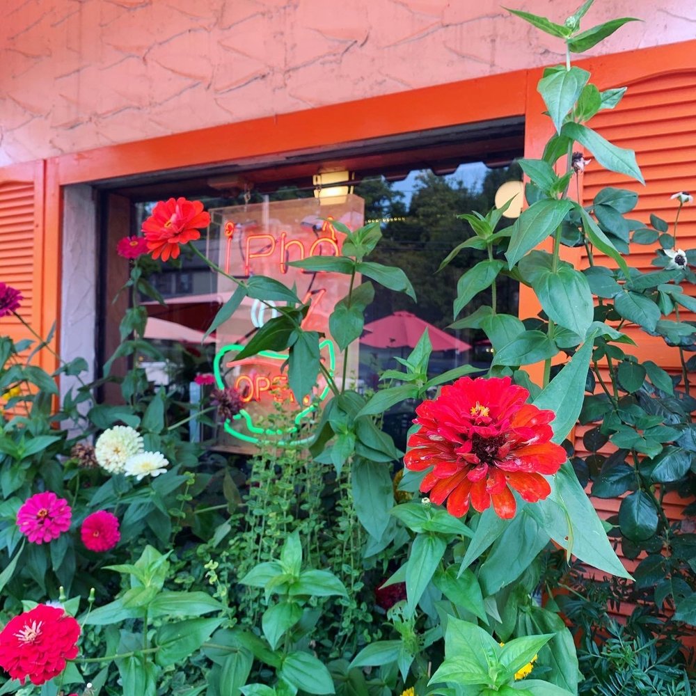 IPho - Flowers outside the restaurant - Vietnamese Near Me - New Paltz, New York IPho - Flowers outside the restaurant - Vietnamese Near Me - New Paltz, New York