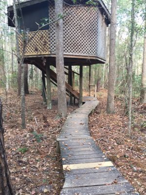 Hostel In the Forest by null