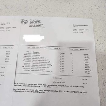 Orange Pet Clinic - Over price, charging twice just for examination. $50 ( for a visit ) and another to start examinations $40. So $90 for starting? - Veterinarians Near Me - Orange, California