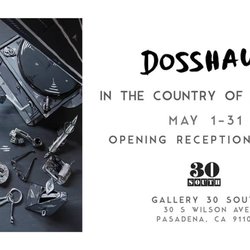 Gallery 30 South - Advert for the May 2017 Dosshaus installation at @gallery30south